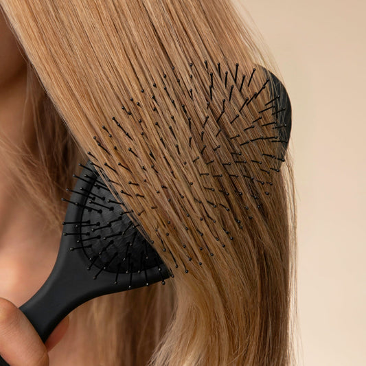 Black Wet/Dry Brush