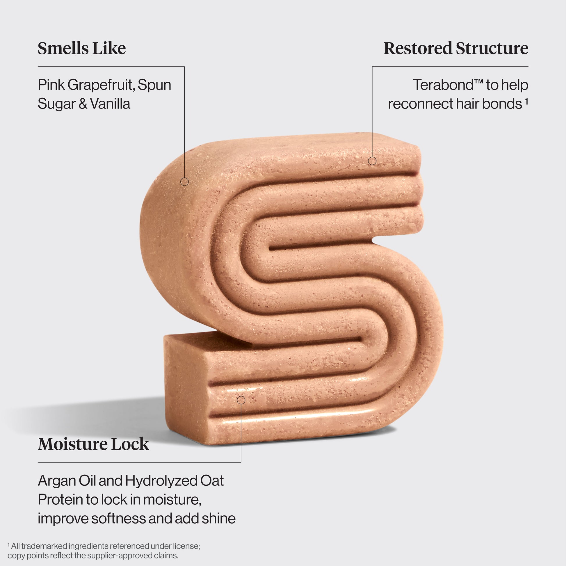KITSCH Repairing Argan Oil Shampoo Bar — ingredient-focused detail shot — Everbond® clinically proven to help reverse and repair hair damage, packed with antioxidant-rich argan oil — pH balanced and safe for color-treated hair