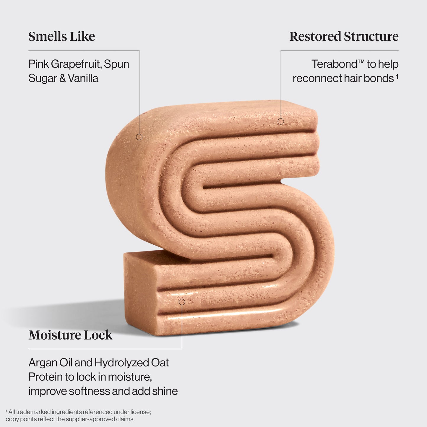 KITSCH Repairing Argan Oil Shampoo Bar — ingredient-focused detail shot — Everbond® clinically proven to help reverse and repair hair damage, packed with antioxidant-rich argan oil — pH balanced and safe for color-treated hair