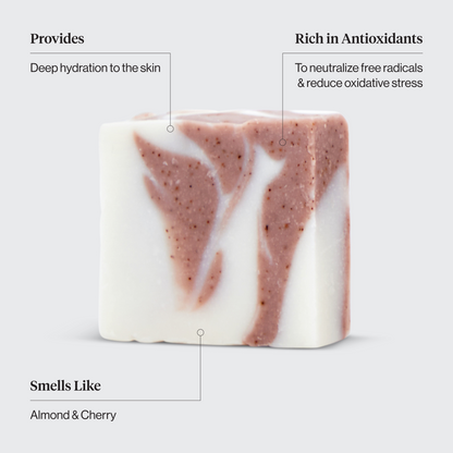 KITSCH Shea Butter Solid Body Wash Bar — feature infographic on light background — Provides: Deep hydration to the skin | Rich in Antioxidants: To neutralize free radicals & reduce oxidative stress | Smells Like: Almond & Cherry — Included in Nourishing Castor Oil Self Draining Terracotta Soap Dish Bundle