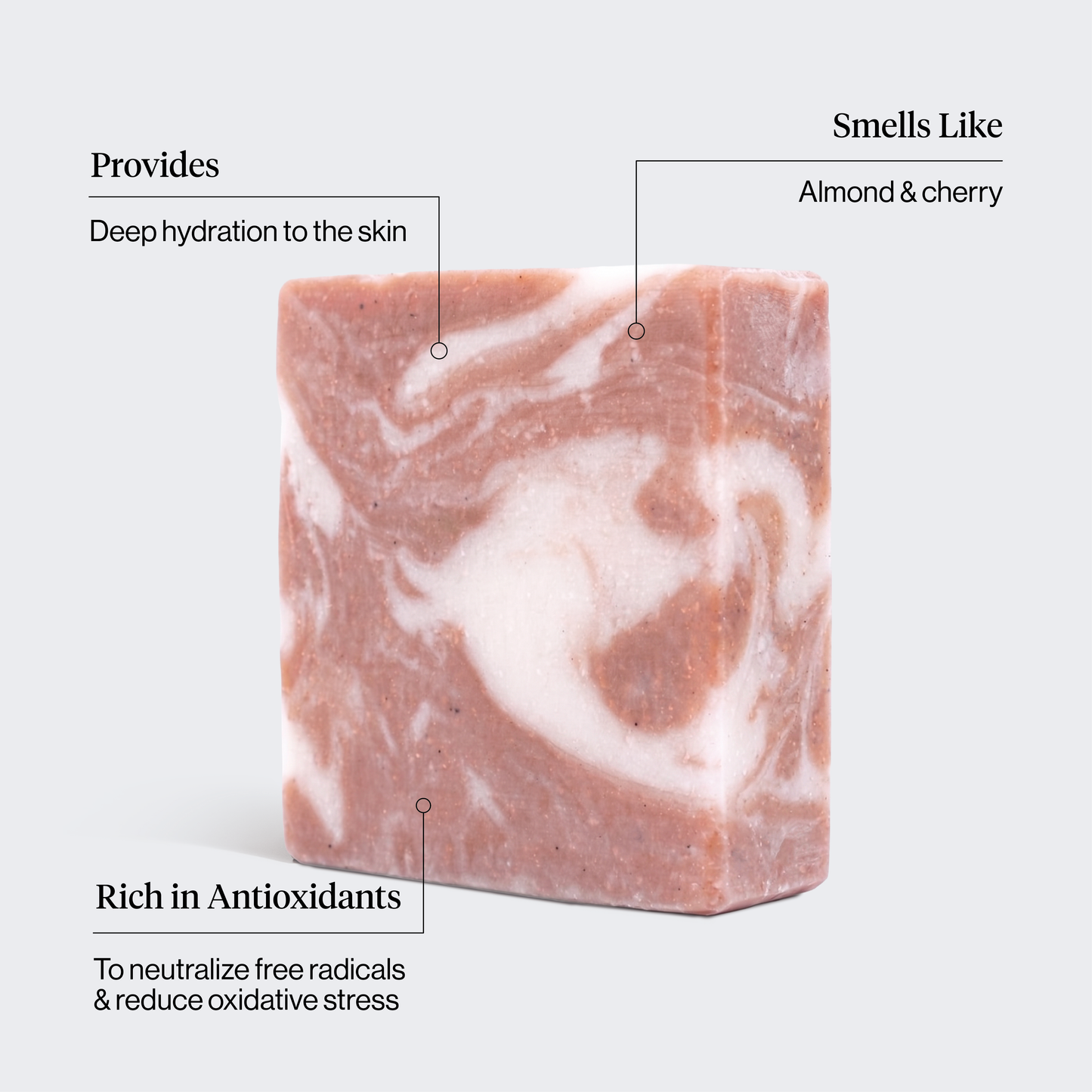 KITSCH Shea Butter Exfoliating Body Wash — product infographic showing key benefits